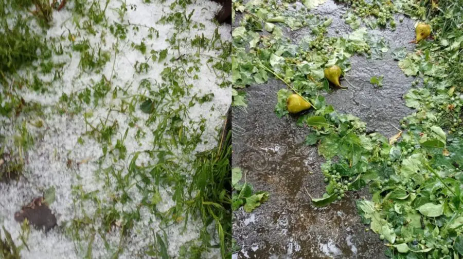 FOTO Prăpăd în România. La Rădășeni, bucăţile mari de gheaţă au distrus grădinile oamenilor