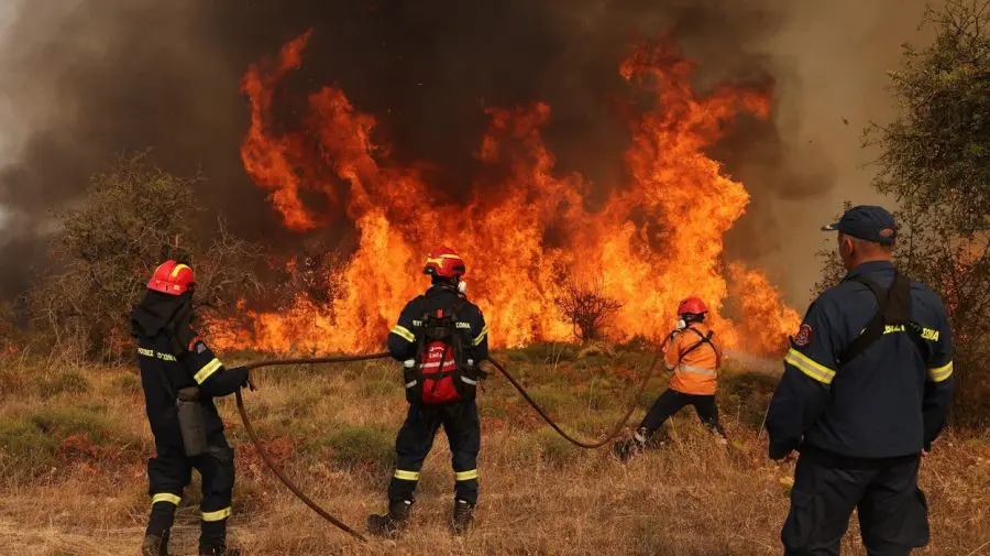 Incendii record în UE: peste un milion de hectare distruse de la începutul anului