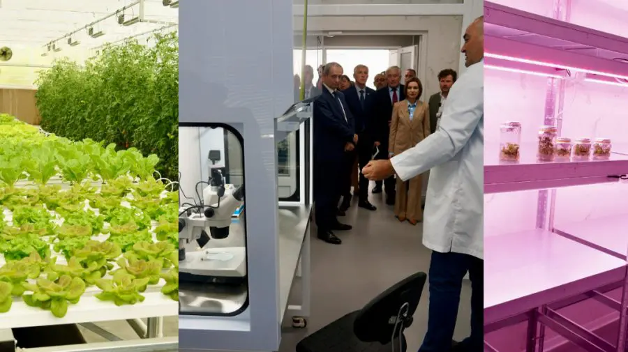 Campusul Mircești al UTM, transformat într-un centru modern pentru agricultură și medicină veterinară