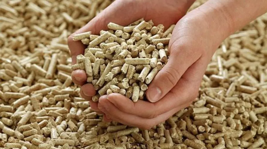 CNED și Ministerul Energiei promovează utilizarea biocombustibililor solizi printr-o campanie națională de informare