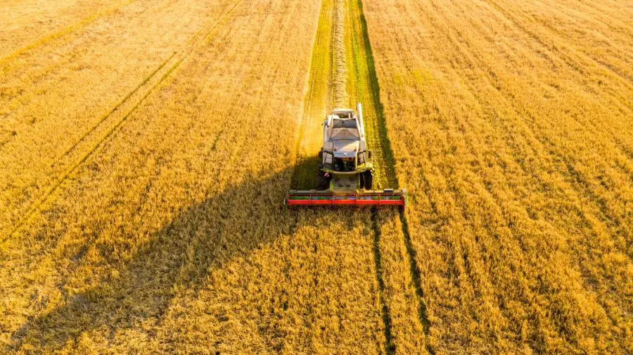 Pragul de eligibilitate pentru rambursarea TVA producătorilor agricoli scade de la 95% la 70%