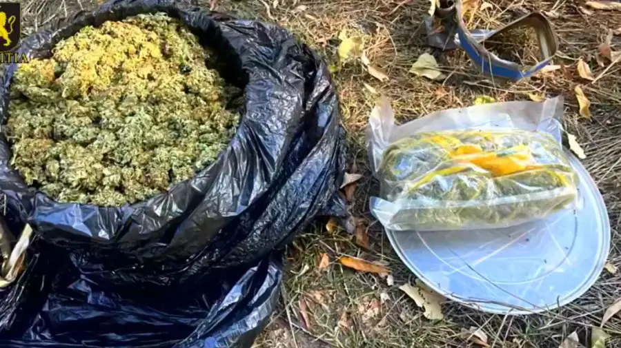 Reținut cu sacoșa plină de droguri! Poliția a destructurat o rețea de marijuana pe Telegram