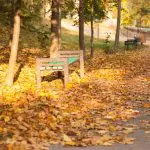 Prognoza meteo pentru 16 septembrie: Cer variabil și până la +25°C