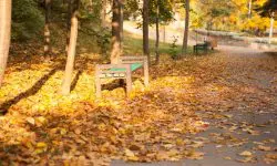 Prognoza meteo pentru 16 septembrie: Cer variabil și până la +25°C
