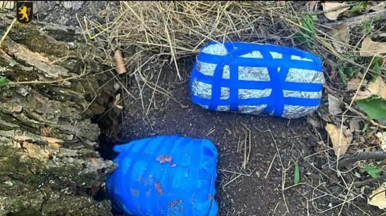 VIDEO Minor implicat în traficul de droguri, prins în flagrant. Peste patru kilograme de droguri confiscate