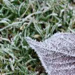 Vin înghețurile în Moldova! Temperaturile vor coborî până la -2°C