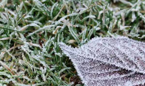 Vin înghețurile în Moldova! Temperaturile vor coborî până la -2°C