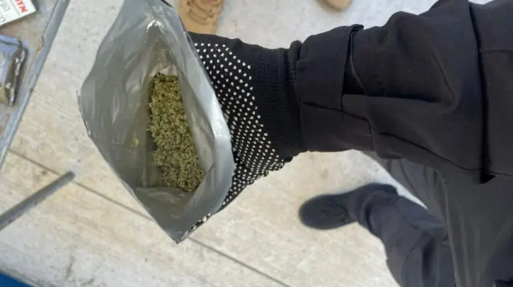Cetățean israelian, prins cu marijuana la frontiera moldo-ucraineană