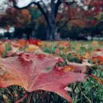 Prognoza meteo pentru 17 septembrie: Cer senin și până la 26 de grade Celsius