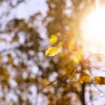 Prognoza meteo pentru 3 septembrie: Izolat vor cădea ploi slabe și se așteaptă până la +30°C