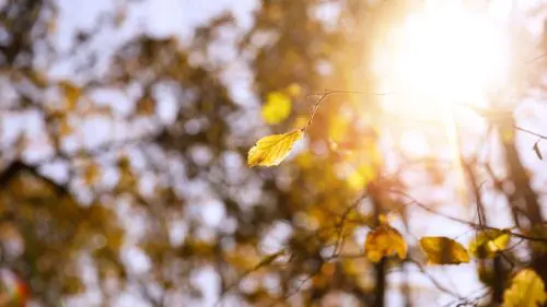 Prognoza meteo pentru 3 septembrie: Izolat vor cădea ploi slabe și se așteaptă până la +30°C