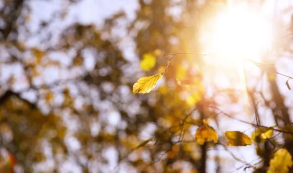Prognoza meteo pentru 3 septembrie: Izolat vor cădea ploi slabe și se așteaptă până la +30°C