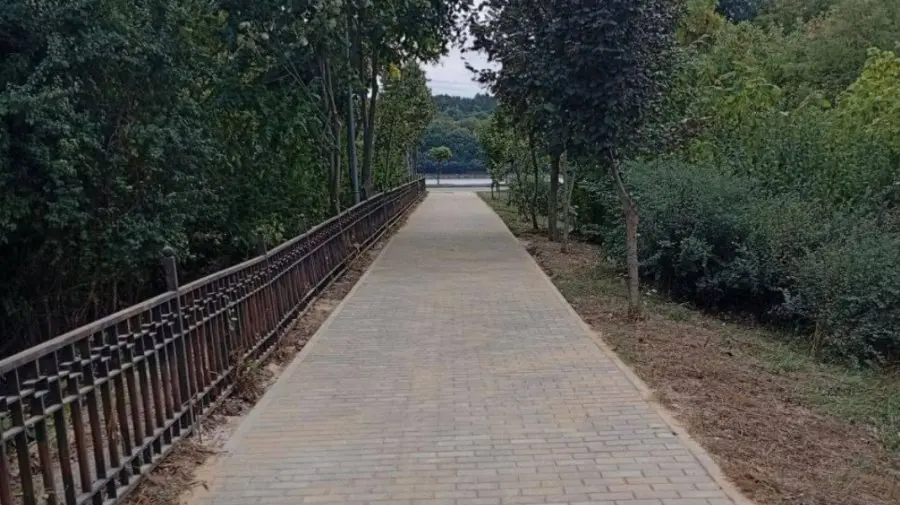Pe jos spre parc? A fost reabilitată aleea care leagă strada Constantin Stere de Valea Morilor
