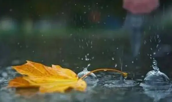 Prognoza meteo pentru 12 octombrie: Vremea se răcește și se așteaptă ploi slabe