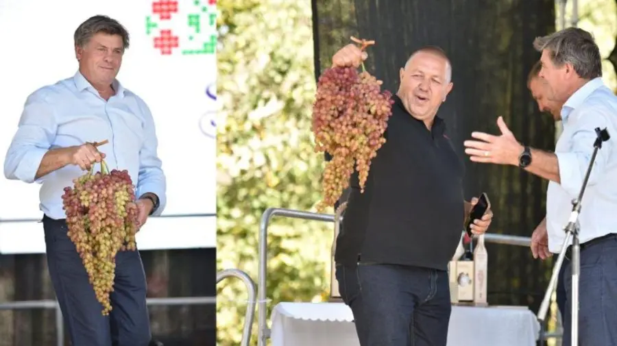 Vedeta Festivalului Strugurelui de la Cimișlia a fost cea din imagine – aflați cu cât s-a vândut