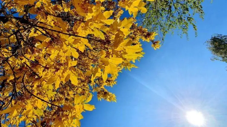 Temperaturi de până la 29°C și cer senin: Prognoza meteo pentru 22 septembrie