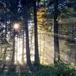 Prognoza meteo pentru 8 septembrie: Cer variabil și până la +29°C
