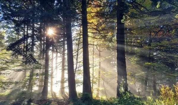 Prognoza meteo pentru 8 septembrie: Cer variabil și până la +29°C