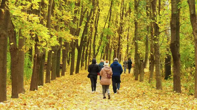 Vreme plăcută de toamnă pe 29 octombrie: cer variabil și temperaturi de până la +19°C în țară