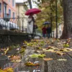Prognoza meteo pentru 22 septembrie: Cer variabil și ploi slabe