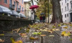 Prognoza meteo pentru 22 septembrie: Cer variabil și ploi slabe