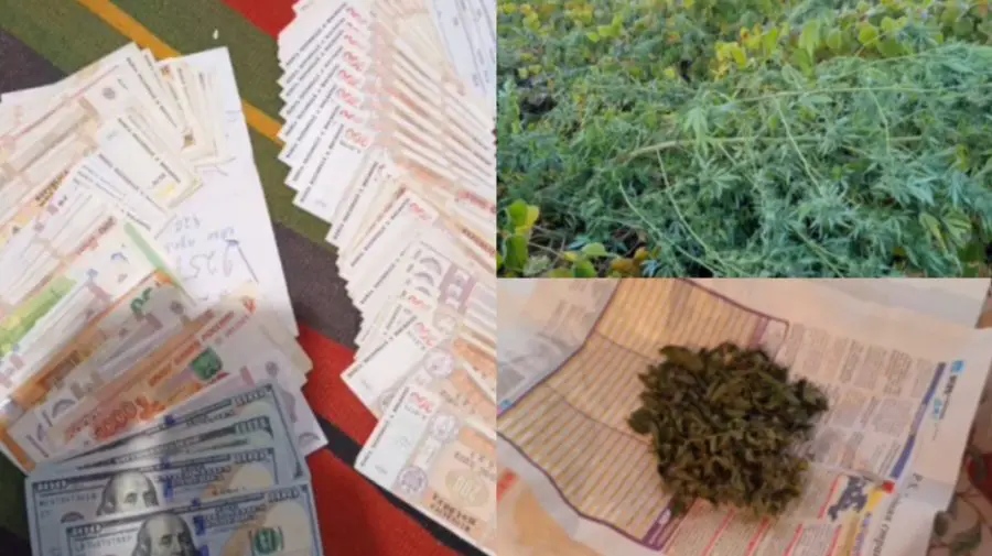 Doi bărbați, suspectați de distribuirea drogurilor, s-au trezit cu polițiștii la poartă. Ce pedeapsă riscă