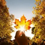 Prognoza meteo pentru 7 septembrie: Cer variabil și până la +26°C