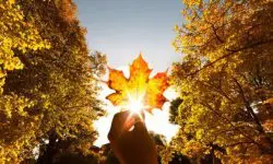 Prognoza meteo pentru 7 septembrie: Cer variabil și până la +26°C