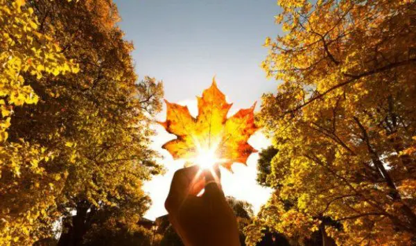 Prognoza meteo pentru 7 septembrie: Cer variabil și până la +26°C