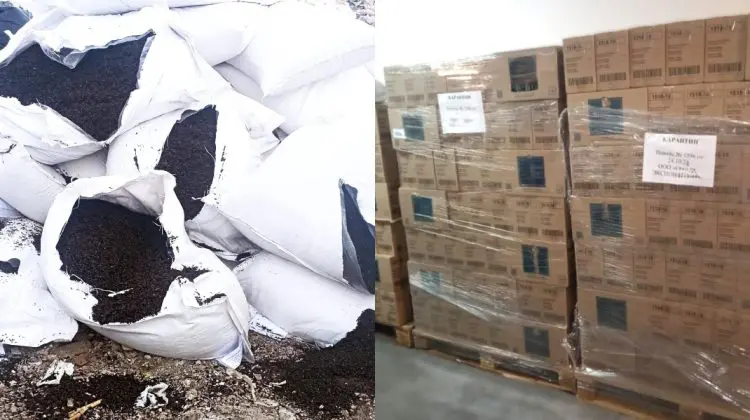 Peste o tonă de ceai negru de import, distrusă din cauza pesticidelor