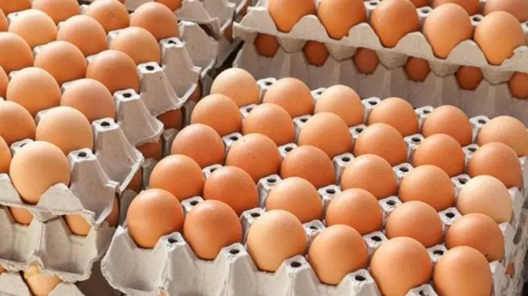 Ouăle s-au scumpit cu peste 20%. Crescătorii dau vina pe exporturile mai mari către UE
