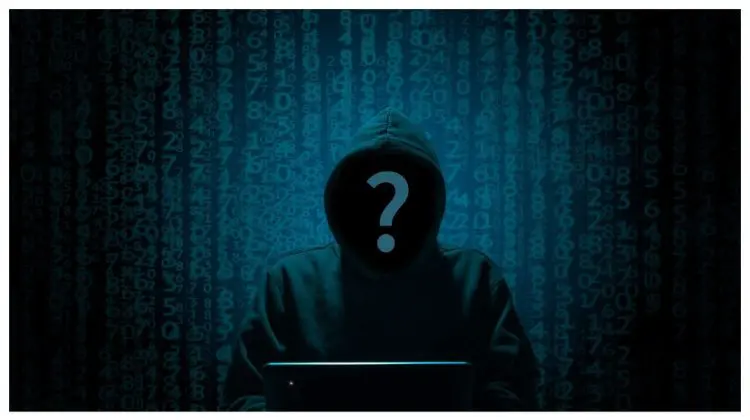 Haos digital în Danemarca! Hackeri proruşi atacă site-uri ale statului și armatei