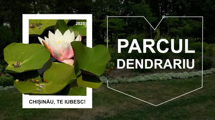 Parcul Dendrariu – un loc renumit pentru colecția sa bogată de plante și frumusețea peisagistică