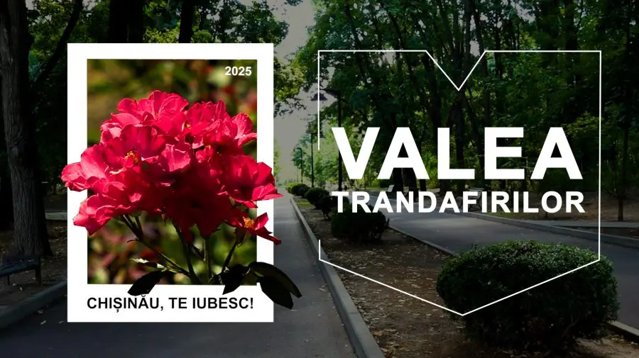 Parcul Valea Trandafirilor – unul dintre cele mai frumoase din oraș