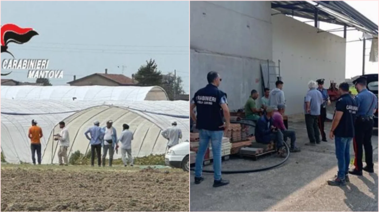 Zeci de moldoveni, exploatați la ferme de pepeni și dovleci în Italia