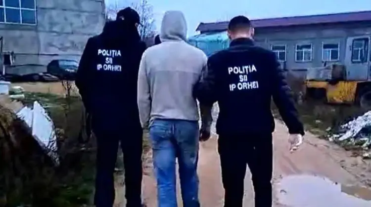 VIDEO Creștea și distribuia marijuana la locul de muncă. Un tânăr, reținut pentru 72 de ore
