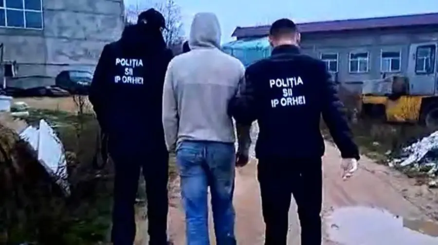 VIDEO Creștea și distribuia marijuana la locul de muncă. Un tânăr, reținut pentru 72 de ore