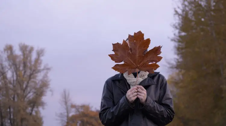 Temperaturi între +1 și +10°C și cer predominant noros: Cum va fi vremea astăzi