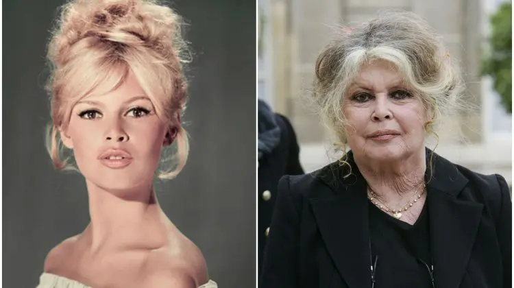 Brigitte Bardot, legenda cinematografiei franceze, a murit la 91 de ani