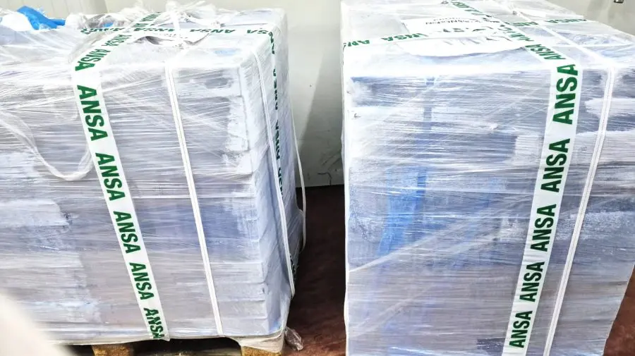 VIDEO Lot de peste două tone de carne de pui contaminată cu Salmonella, reținut de ANSA la frontieră