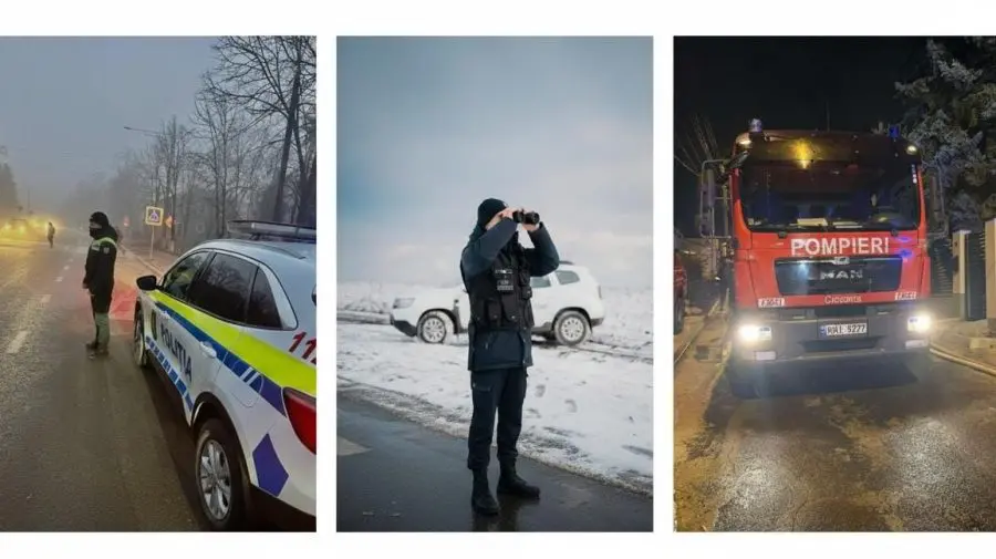 Autoritățile în alertă din cauza vântului: copaci căzuți și recomandări pentru cetățeni