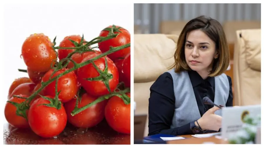 „Nu l-a atras roșia din Moldova”: ministra Agriculturii explică de ce produsele autohtone pierd în fața importurilor