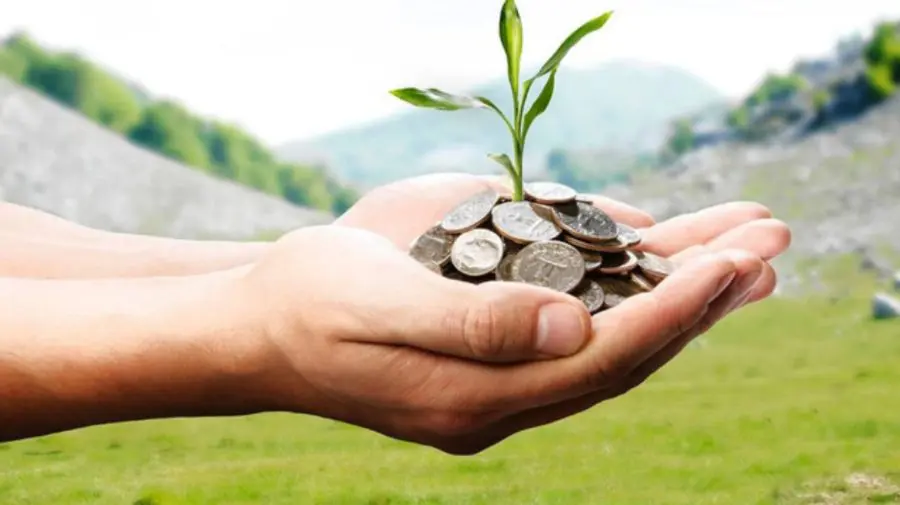 Guvernul oferă granturi de până la 1,5 milioane de lei pentru întreprinderi care investesc în eficiență energetică
