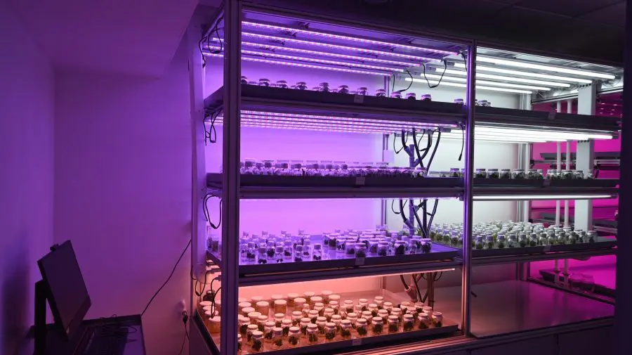 Oportunității pentru studii și cercetare. Două laboratoare moderne au fost inaugurate la USMF