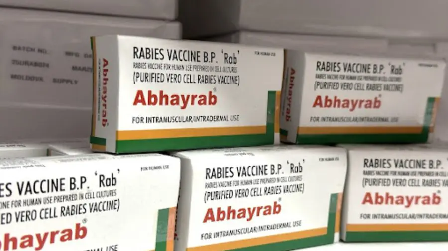 Serviciul antirabic din Chișinău, descentralizat din 1 ianuarie: Locuitorii vor primi ajutor medical mai rapid