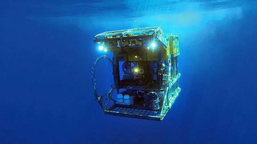 La 1.300 de metri sub Pacific, un robot dezvăluie o scenă care îi uimește pe oamenii de știință