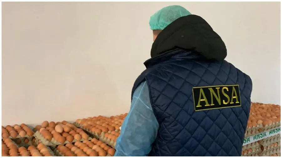 ANSA retrage din comerț un lot de ouă: consumatorii sunt sfătuiți să returneze produsele la magazin