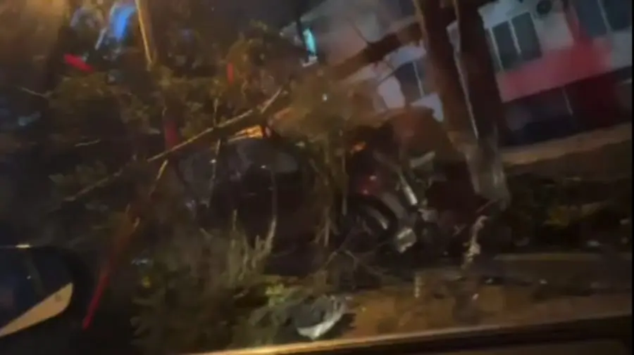 VIDEO Un șofer beat criță a ajuns cu mașina într-un copac, în Chișinău. Poliția l-a reținut