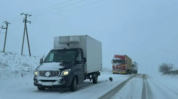 Restricții temporare pentru camioanele de mare tonaj pe drumurile spre punctele de frontieră