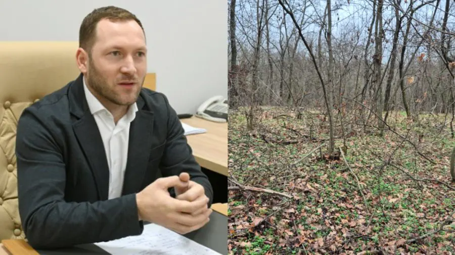 161 de copaci tăiați ilegal la Criuleni și prejudiciu de 200 de mii de lei. Ministrul Mediului intervine